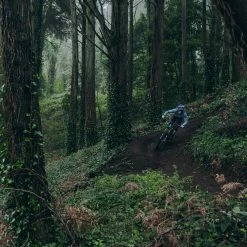 POC Crave Clarity Sunglasses