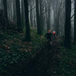 POC Crave Clarity Sunglasses