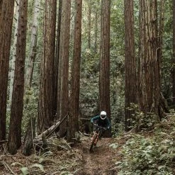 POC Mountain Biking Resistance Pro DH Glove