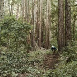 POC Resistance Women's 3/4 Jersey