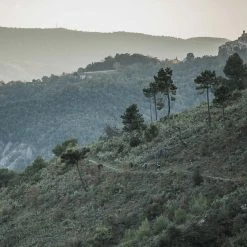 POC Joint VPD Air Elbow Mountain Biking