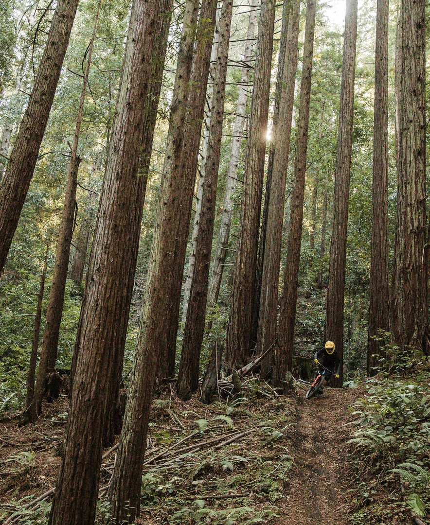 Coupon ✔️ POC VPD System Chest 👏 5 POC VPD System Chest